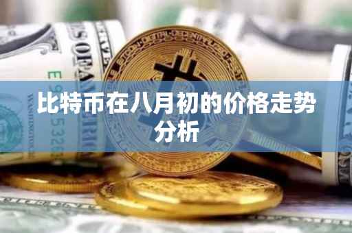 比特币在八月初的价格走势分析