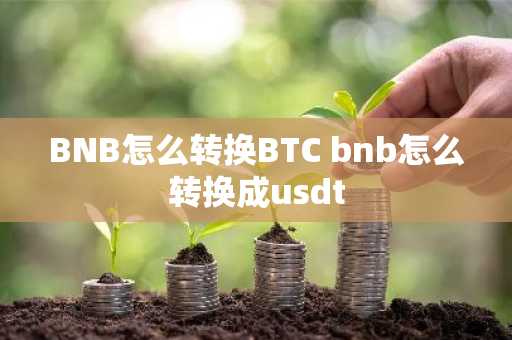BNB怎么转换BTC bnb怎么转换成usdt