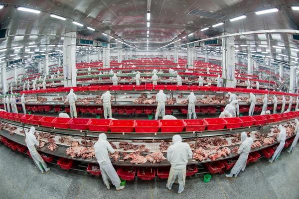 金锣：AI识别、数字化溯源层层加码，让消费者“食肉无忧”