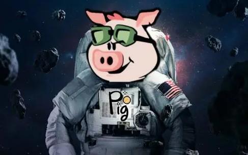 pig币 pig币官方安卓最新版手机端