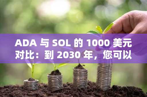 ADA 与 SOL 的 1000 美元对比：到 2030 年，您可以获得以下收益
