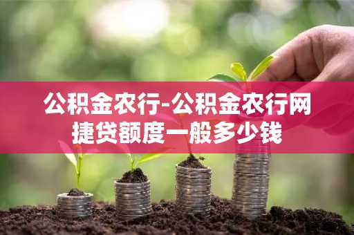 公积金农行-公积金农行网捷贷额度一般多少钱