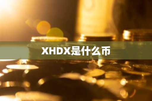 XHDX是什么币