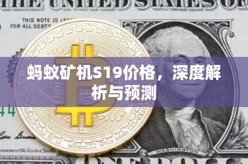 蚂蚁矿机S19价格，深度解析与预测