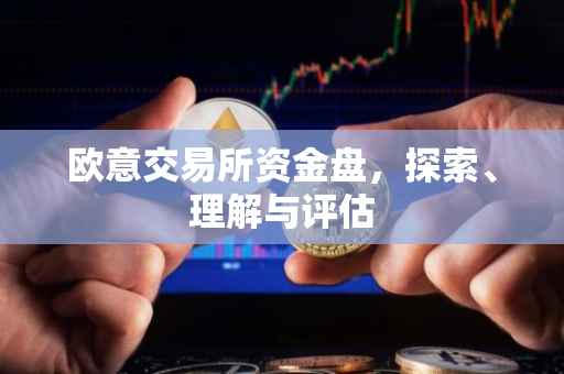 欧意交易所资金盘，探索、理解与评估