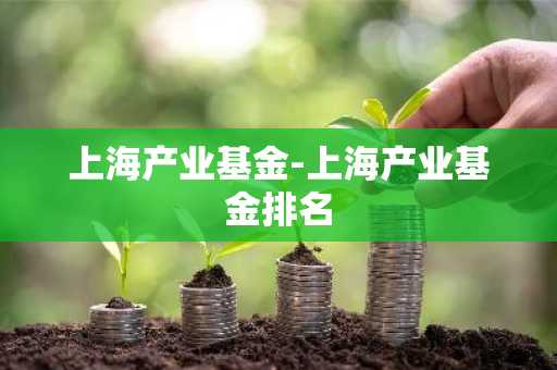 上海产业基金-上海产业基金排名
