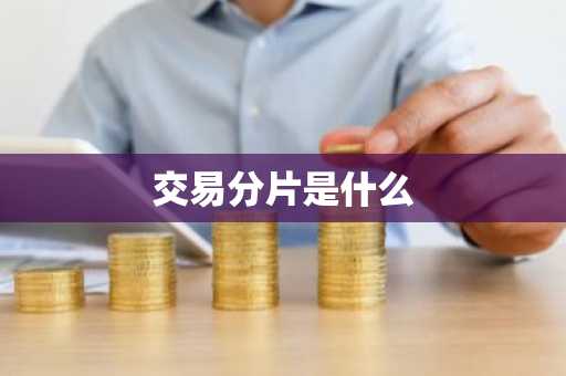 交易分片是什么