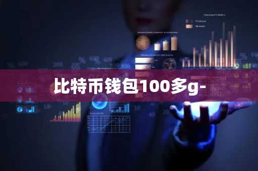 比特币钱包100多g-