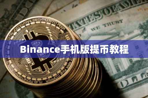 Binance手机版提币教程