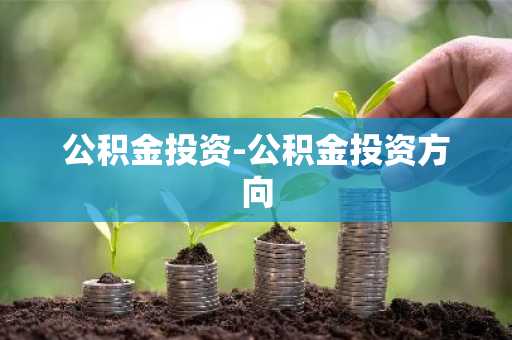 公积金投资-公积金投资方向