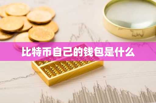比特币自己的钱包是什么