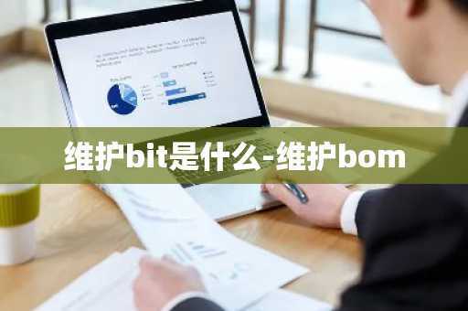 维护bit是什么-维护bom