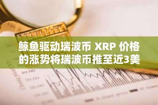 鲸鱼驱动瑞波币 XRP 价格的涨势将瑞波币推至近3美元