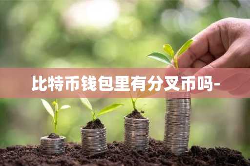比特币钱包里有分叉币吗-