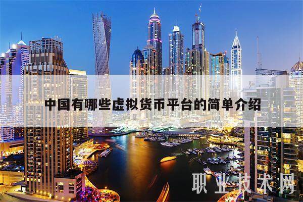 中国有哪些虚拟货币平台的简单介绍