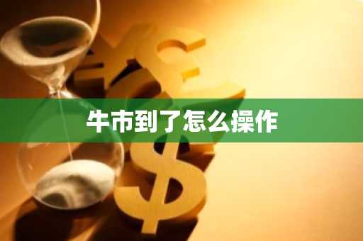 牛市到了怎么操作