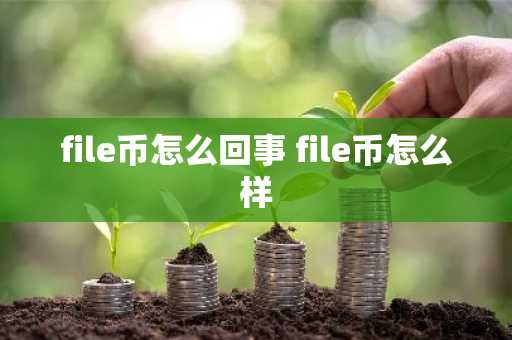 file币怎么回事 file币怎么样