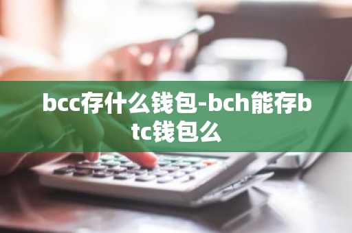 bcc存什么钱包-bch能存btc钱包么