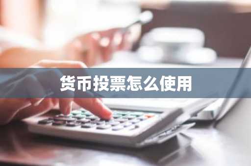 货币投票怎么使用