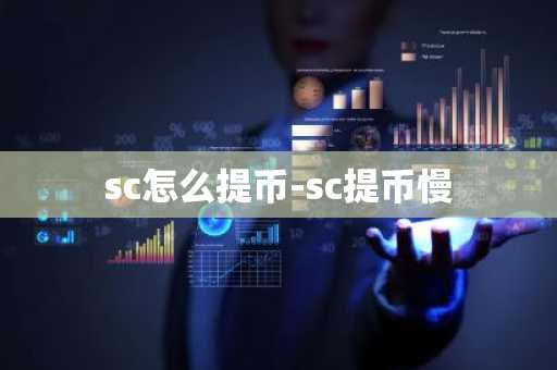 sc怎么提币-sc提币慢