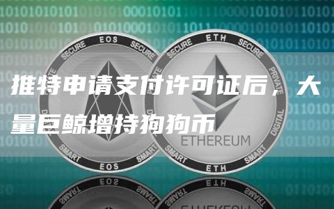 推特申请支付许可证后，大量巨鲸增持狗狗币