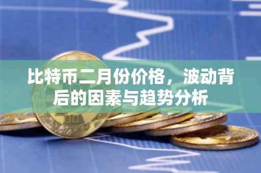比特币二月份价格，波动背后的因素与趋势分析
