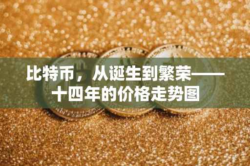 比特币，从诞生到繁荣——十四年的价格走势图