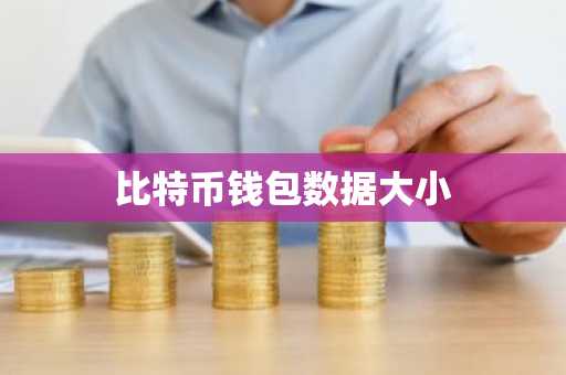 比特币钱包数据大小