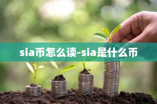 sia币怎么读-sia是什么币
