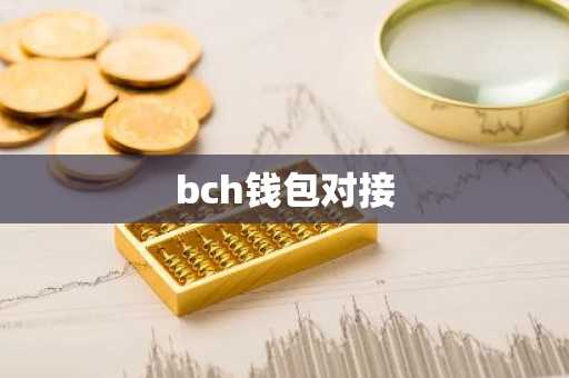 bch钱包对接