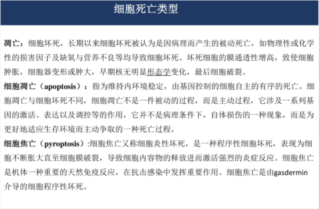 关于基金的ppt课件（关于基金的ppt课件下载）-第3张图片-binance下载