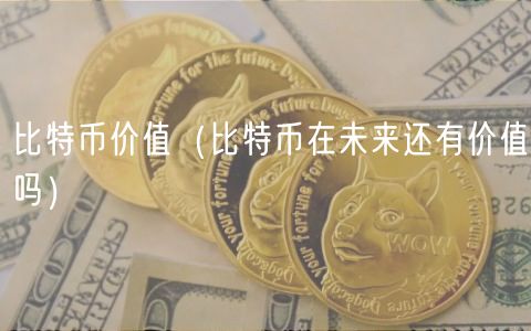 比特币价值（比特币在未来还有价值吗）-第1张图片-binance下载