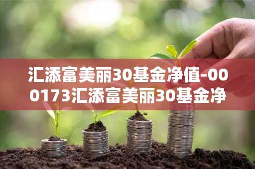 汇添富美丽30基金净值-000173汇添富美丽30基金净值