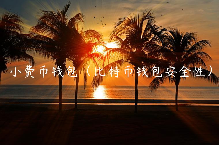 小费币钱包（比特币钱包安全性）