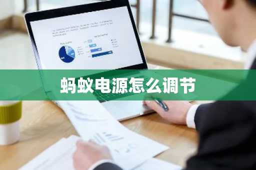 蚂蚁电源怎么调节