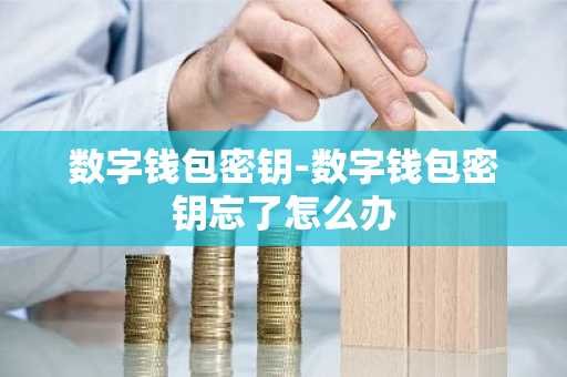 数字钱包密钥-数字钱包密钥忘了怎么办