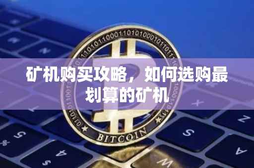 矿机购买攻略，如何选购最划算的矿机