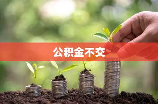 公积金不交