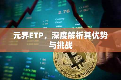 元界ETP，深度解析其优势与挑战
