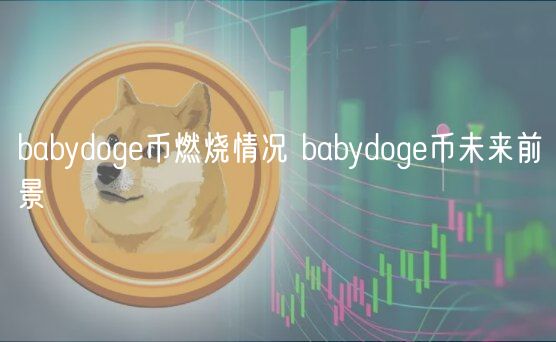 babydoge币燃烧情况 babydoge币未来前景