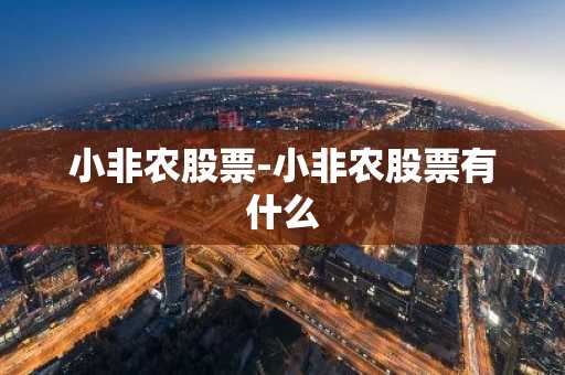小非农股票-小非农股票有什么