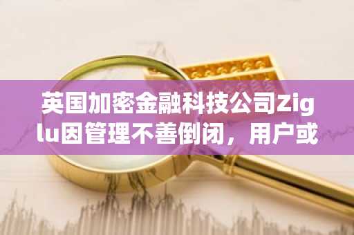 英国加密金融科技公司Ziglu因管理不善倒闭，用户或损失270万美元