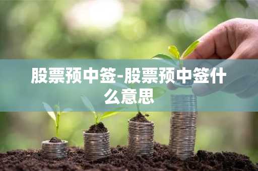 股票预中签-股票预中签什么意思