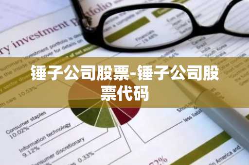 锤子公司股票-锤子公司股票代码