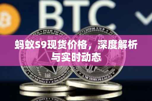 蚂蚁S9现货价格，深度解析与实时动态