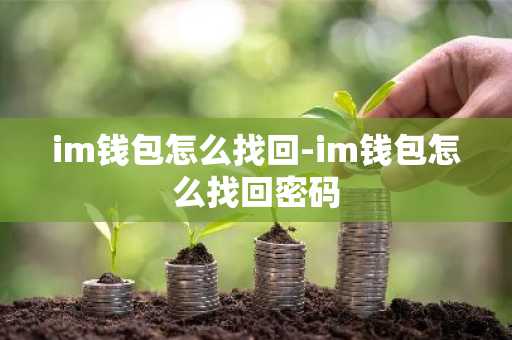 im钱包怎么找回-im钱包怎么找回密码