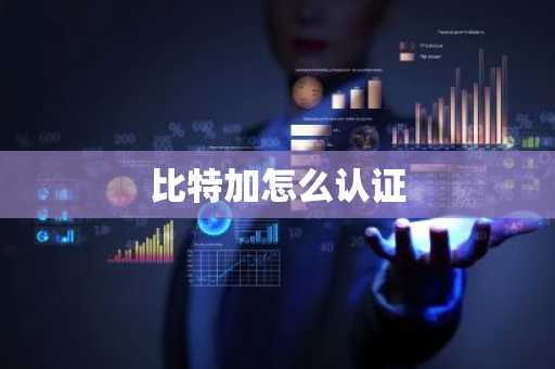 比特加怎么认证