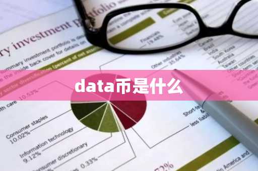 data币是什么