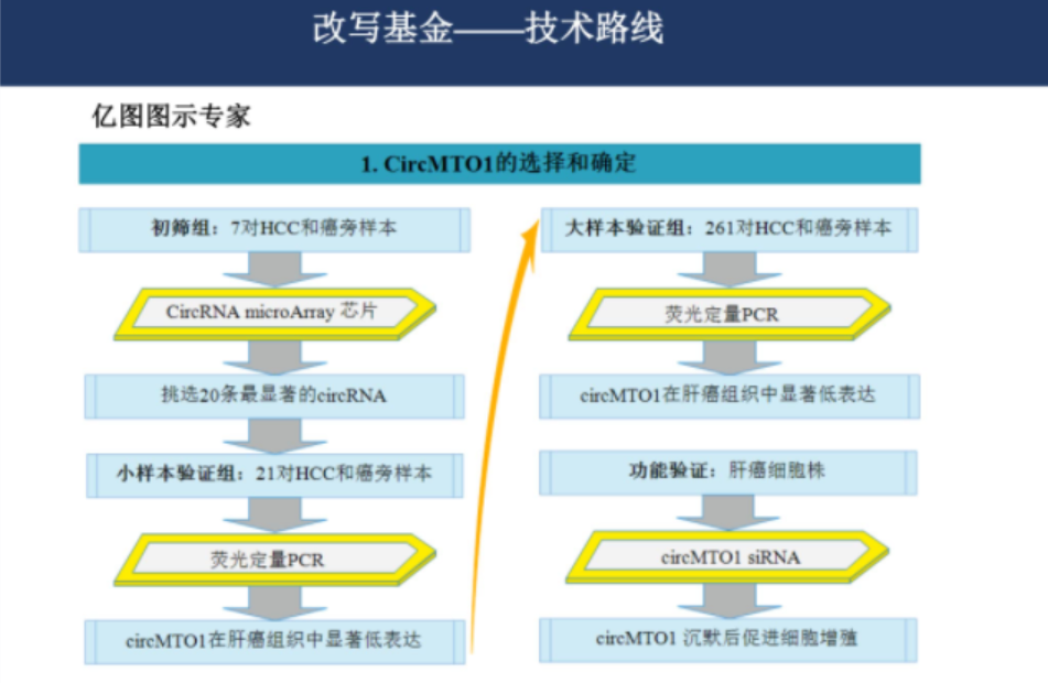 关于基金的ppt课件（关于基金的ppt课件下载）-第6张图片-binance下载