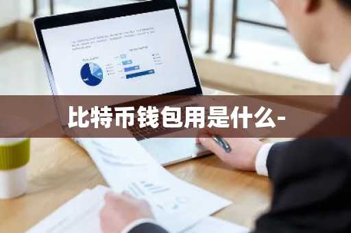 比特币钱包用是什么-